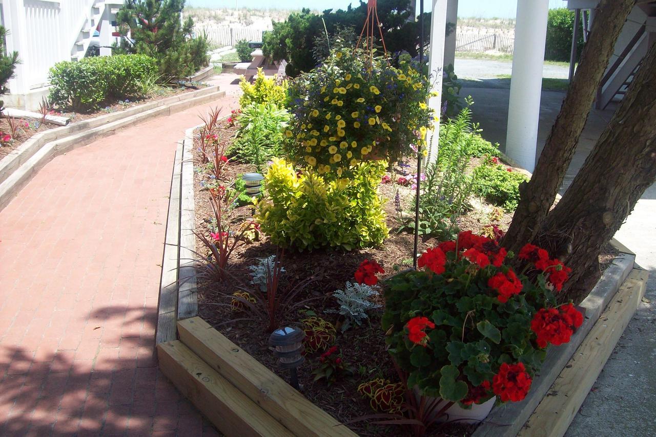 Adams Ocean Front Resort Dewey Beach Luaran gambar